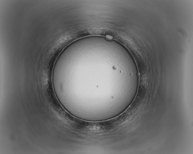 X0000111920687200908031205