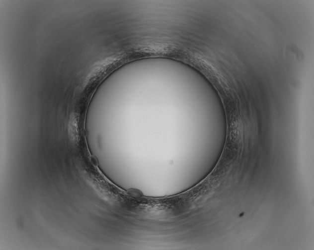 X0000111920688200908031205