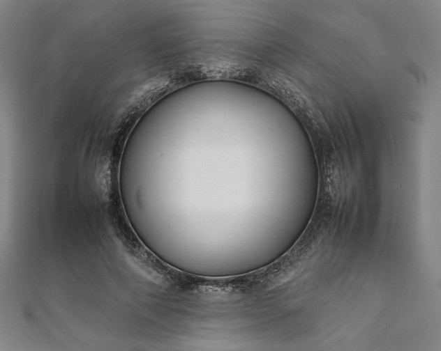 X0000111920690200908031205