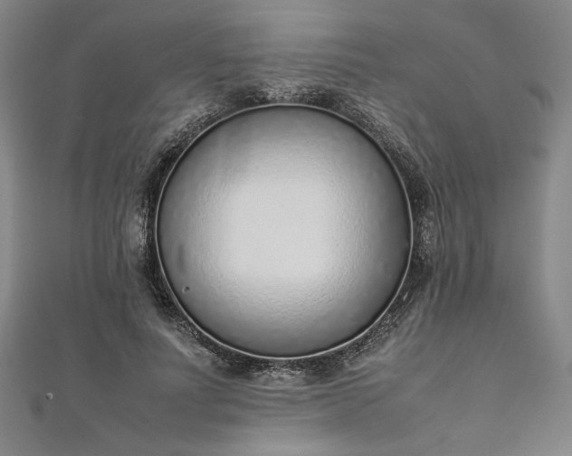 X0000111920691200908031205