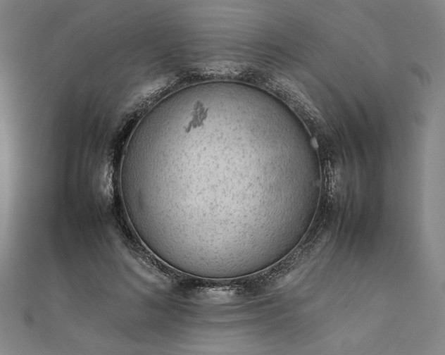 X0000111920692200908031205