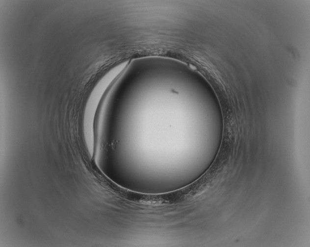 X0000111920693200908031205