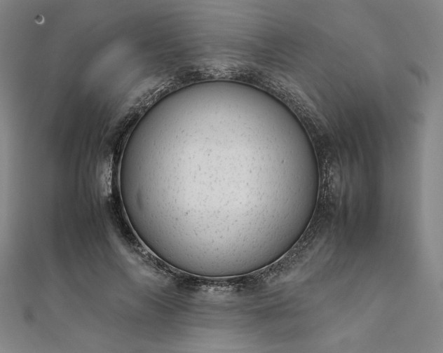 X0000111920694200908031205