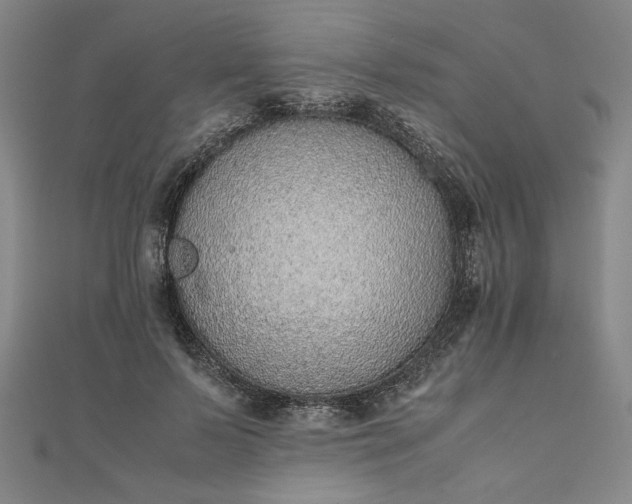 X0000111920695200908031205