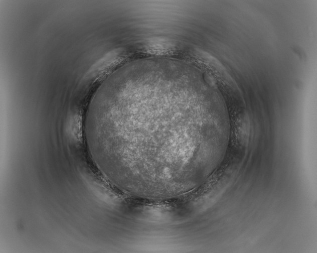 X0000111920696200908031205