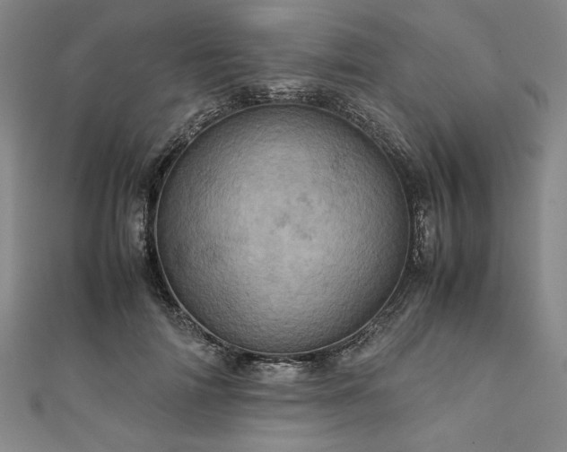 X0000111920698200908031205