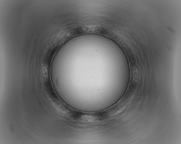 X0000111920699200908031205