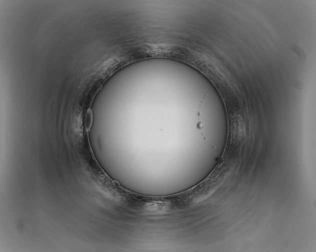 X0000111920700200908031205