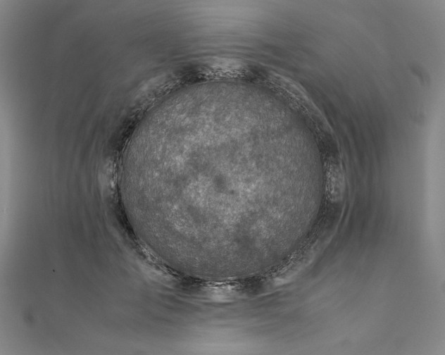 X0000111920701200908031205