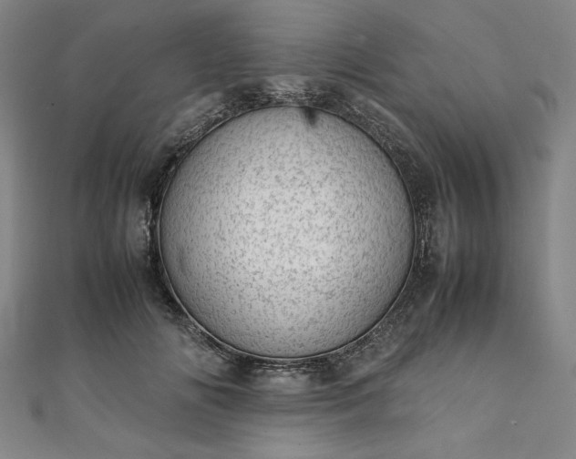 X0000111920702200908031205