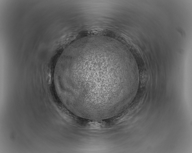 X0000111920703200908031205