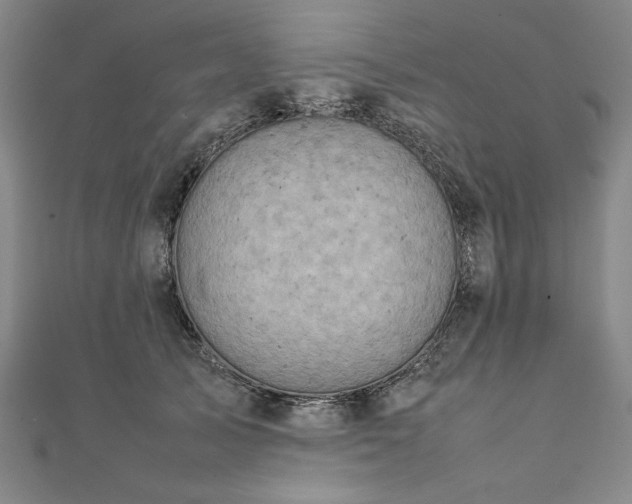 X0000111920705200908031205