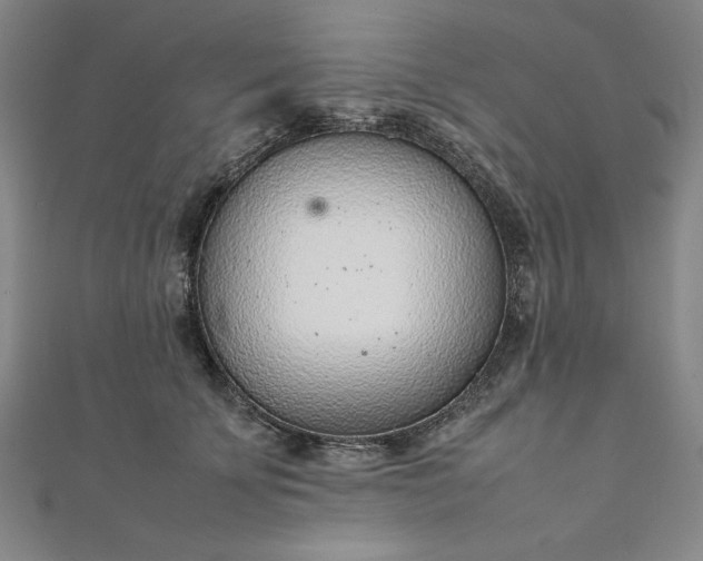 X0000111920707200908031205