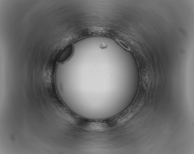 X0000111920708200908031205