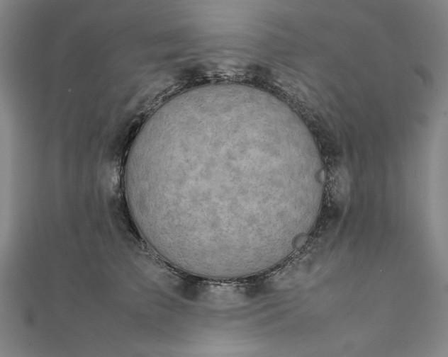 X0000111920709200908031205