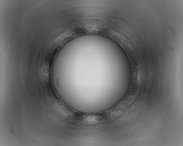 X0000111920710200908031205