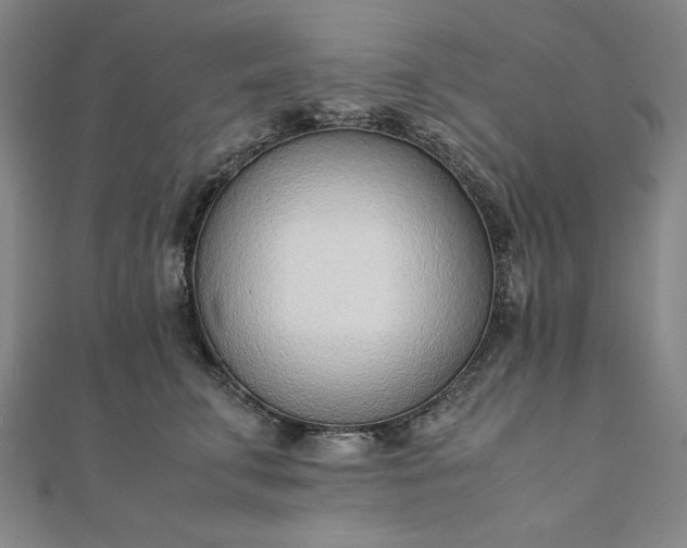 X0000111920711200908031205