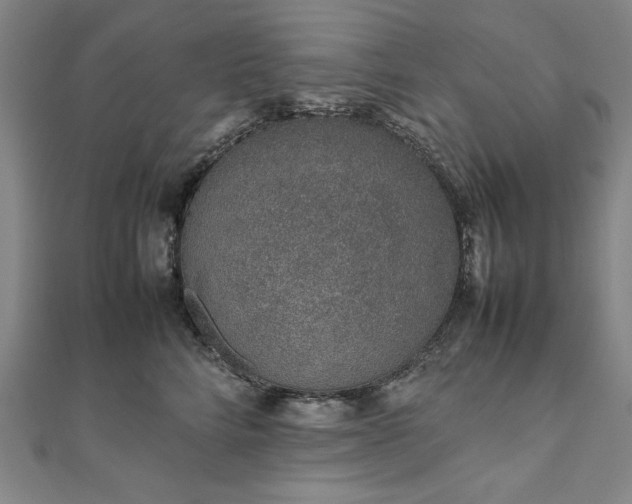 X0000111920712200908031205