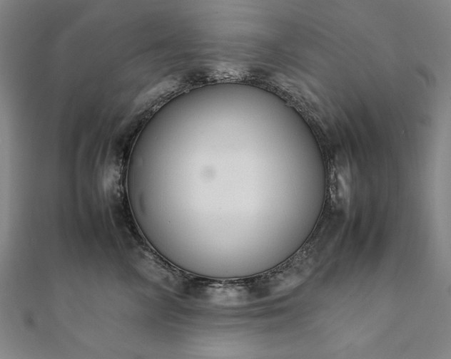 X0000111920714200908031205