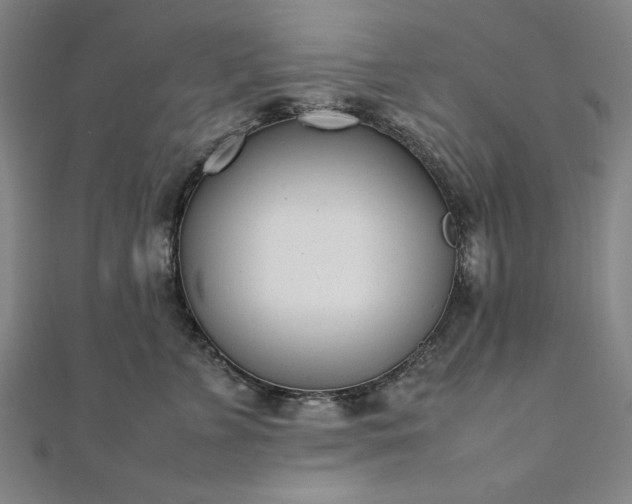 X0000111920715200908031205