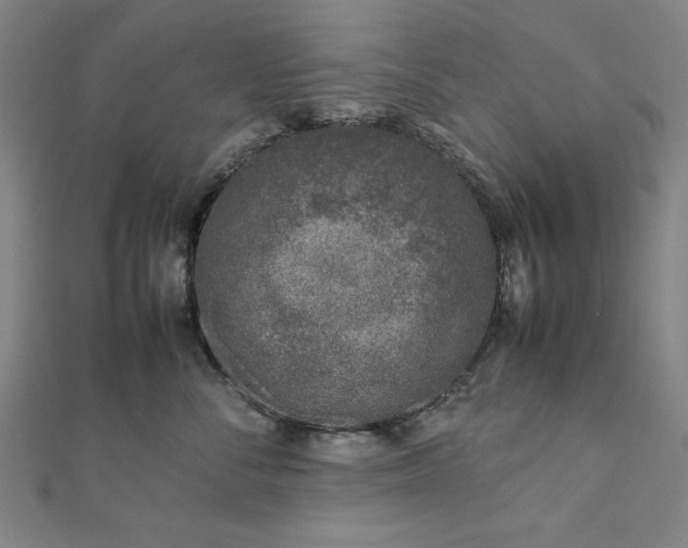 X0000111920716200908031205