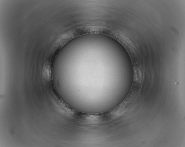 X0000111920718200908031204