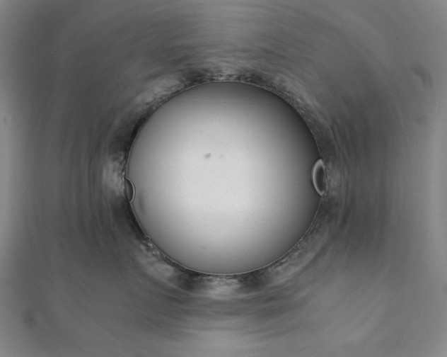 X0000111920719200908031204