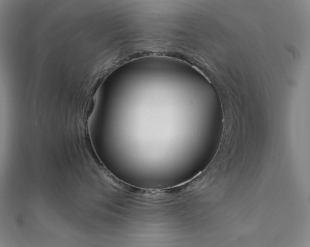 X0000111920720200908031204