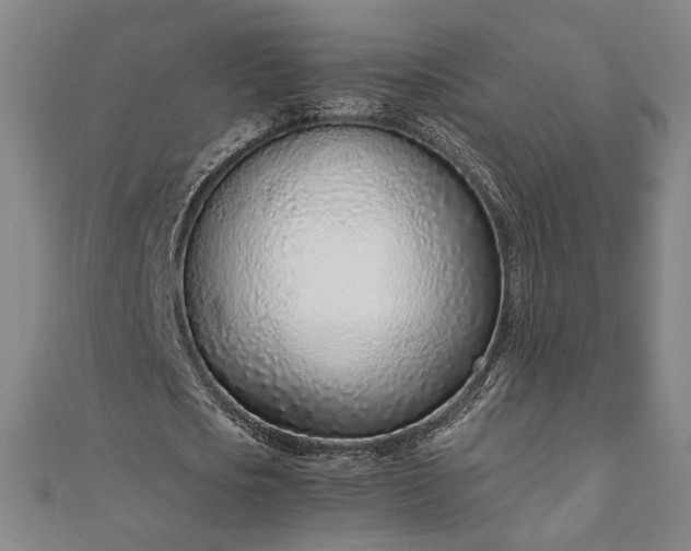 X0000111920721200908031204