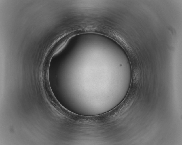 X0000111920722200908031204