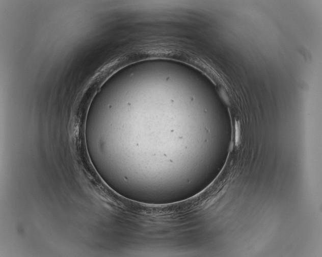 X0000111920723200908031204