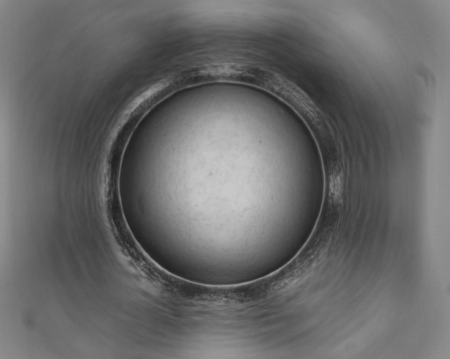 X0000111920724200908031204