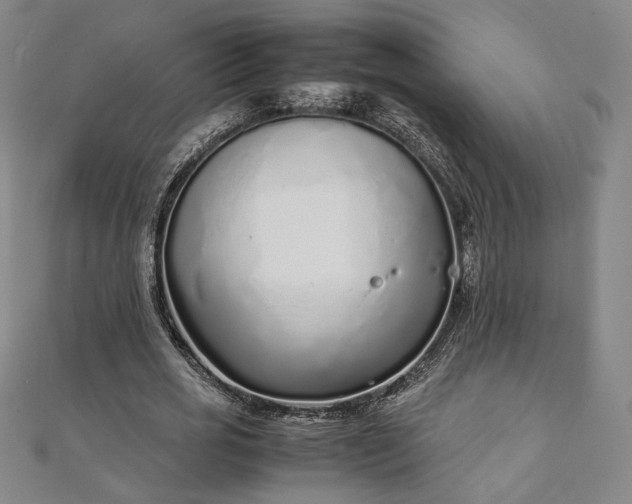 X0000111920725200908031204