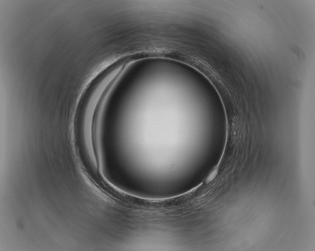 X0000111920726200908031204