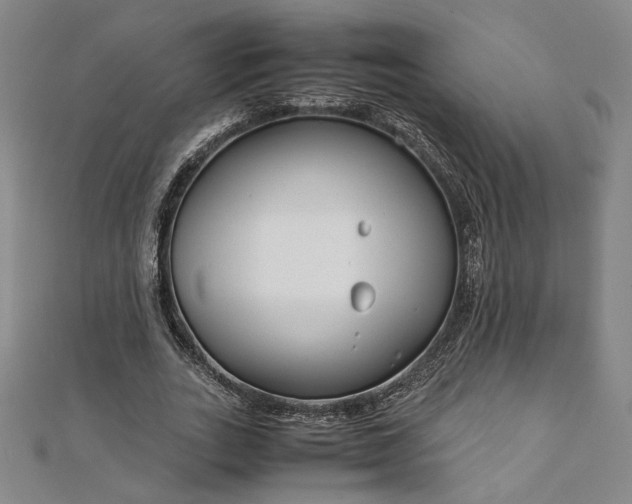 X0000111920727200908031204