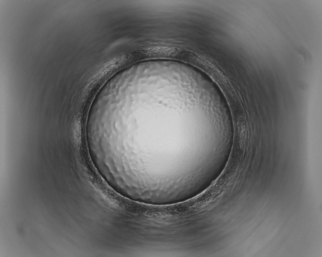 X0000111920729200908031204