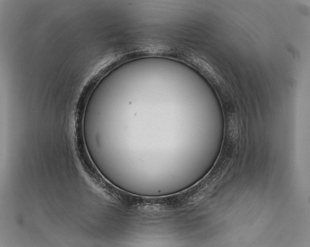 X0000111920730200908031204