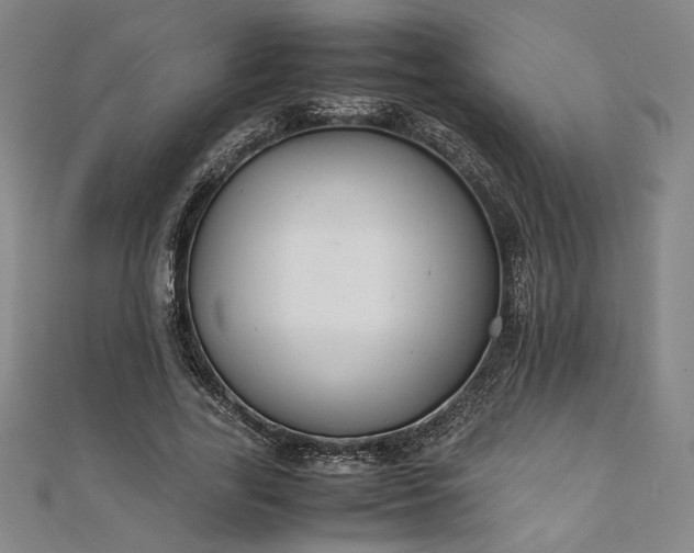 X0000111920731200908031204