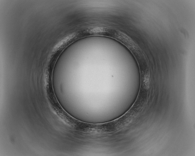 X0000111920732200908031204