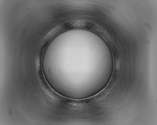 X0000111920733200908031204