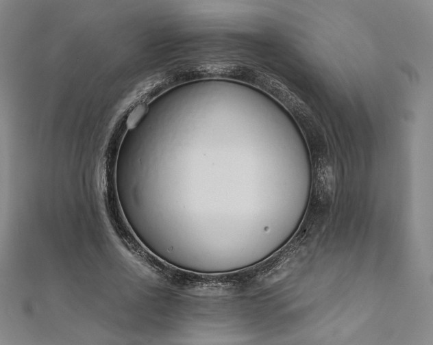 X0000111920734200908031204