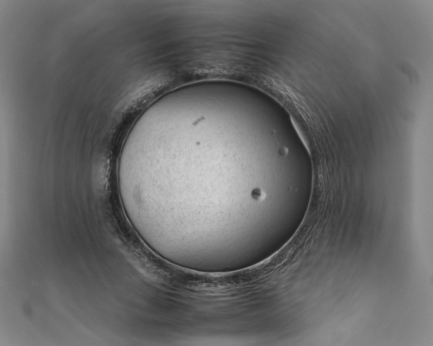 X0000111920735200908031204