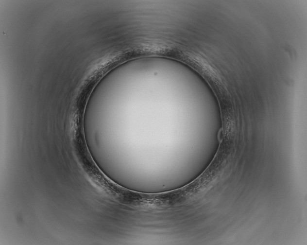 X0000111920736200908031204