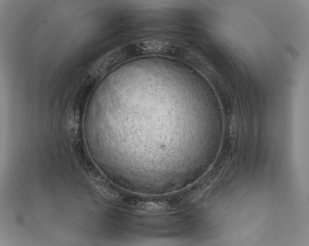 X0000111920737200908031204