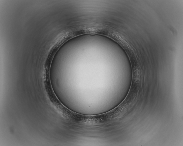 X0000111920738200908031204