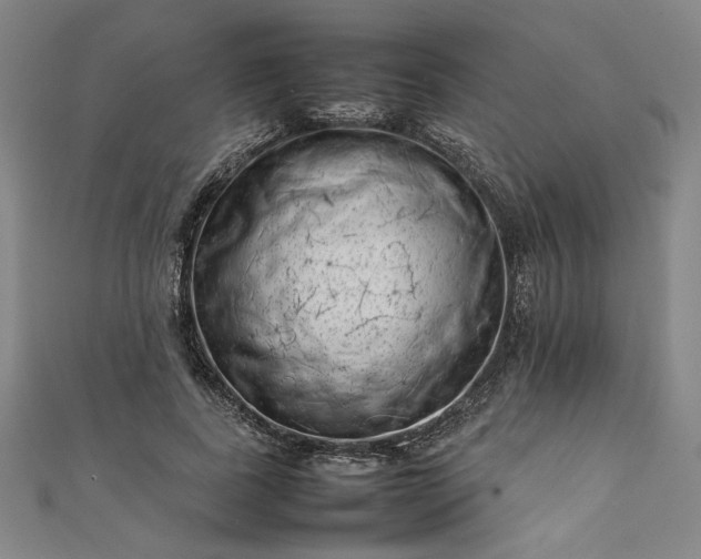 X0000111920739200908031204