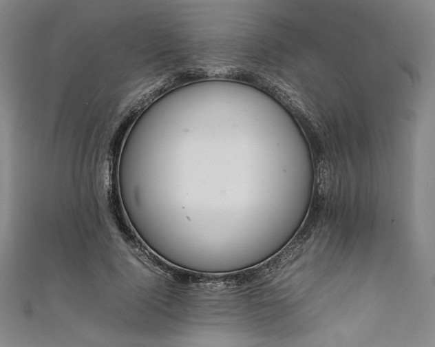 X0000111920740200908031204