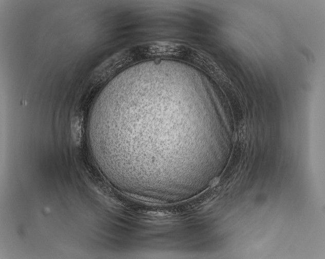 X0000111920741200908031204