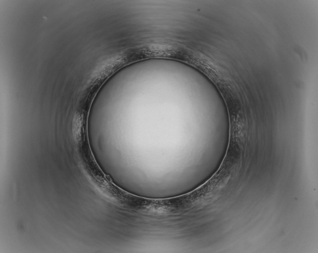 X0000111920742200908031204