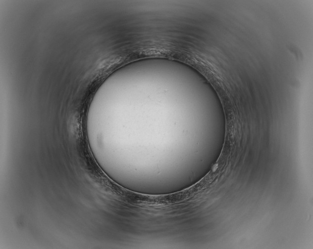 X0000111920743200908031204